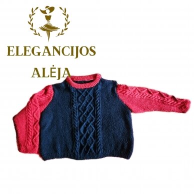 Jersey Rojo/Azul