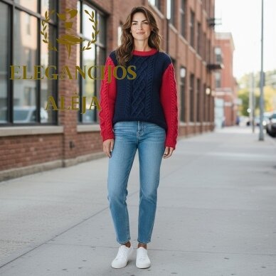 Jersey Rojo/Azul 5